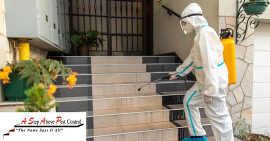 A professional cleaner disinfecting a residential building