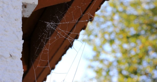 Spider web attached to house roof and wall