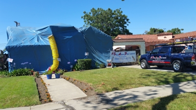 Home Being Treated Photo