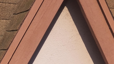 Roof Needing Treatment Photo