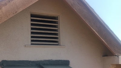 Roof Needing Treatment Photo