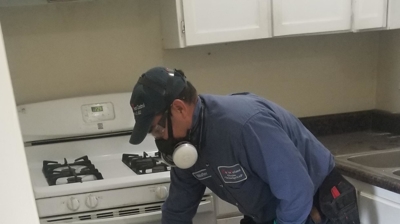 Applying Treatment Photo